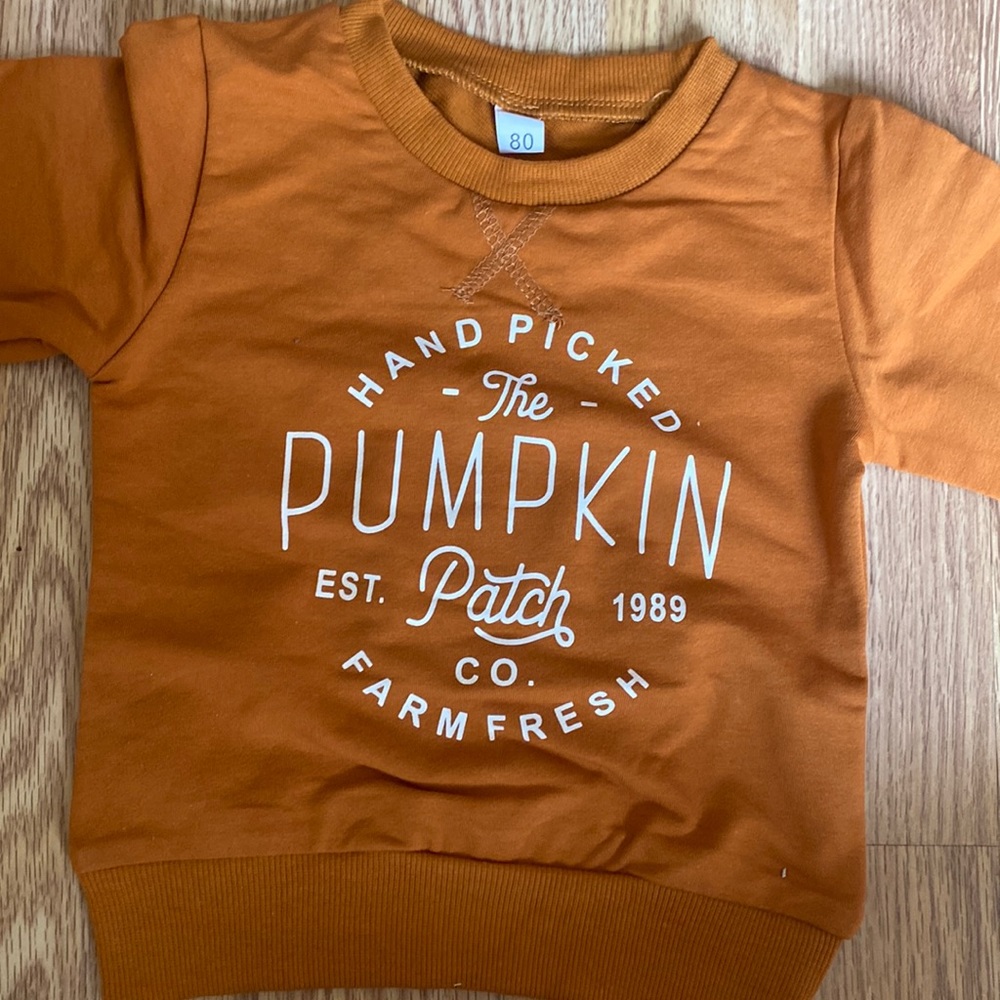Baby 12 month pumpkin patch sweatshirt for fall